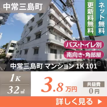 中常三島町 マンション 1K 101