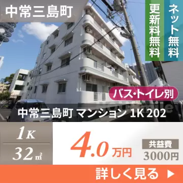 中常三島町 マンション 1K 202