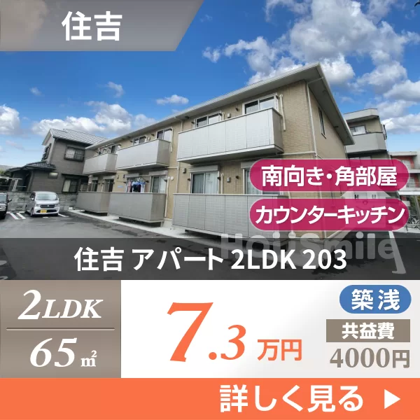 住吉 アパート 2LDK 203