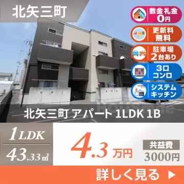 北矢三町 アパート 1LDK 1B