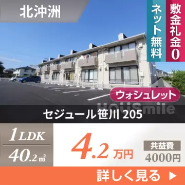 セジュール笹川 205