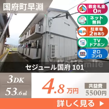 セジュール国府 101