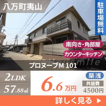 プロヌーブM 101