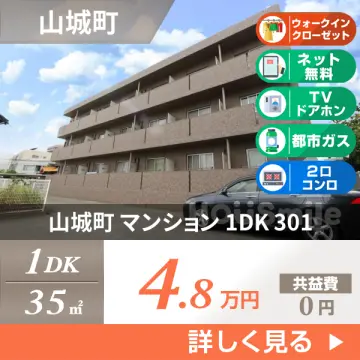 山城町 マンション 1DK 301