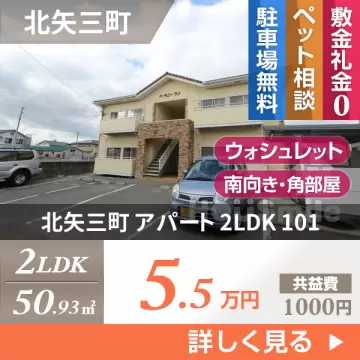 北矢三町 アパート 2LDK 101