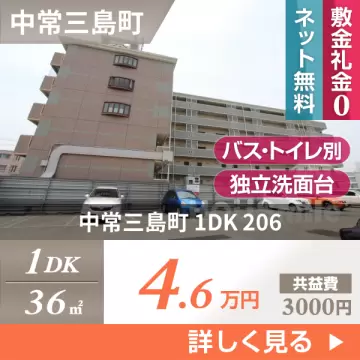 中常三島町 マンション 1DK 206