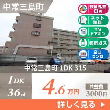 中常三島町 マンション 1DK 315