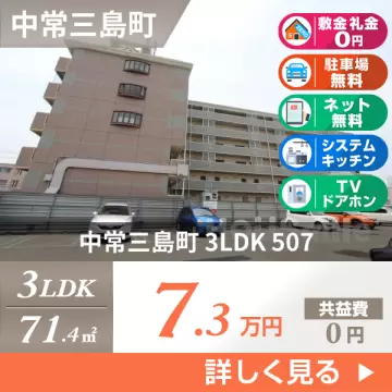 中常三島町 マンション 3LDK 507