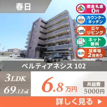 ベルティアネシス 102