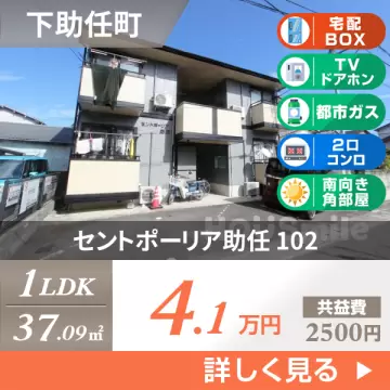 セントポーリア助任 102
