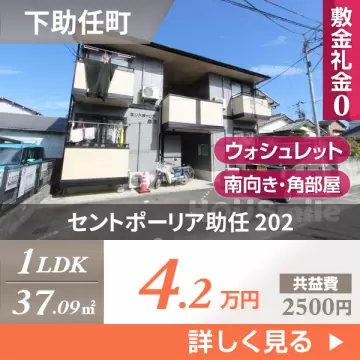 セントポーリア助任 202