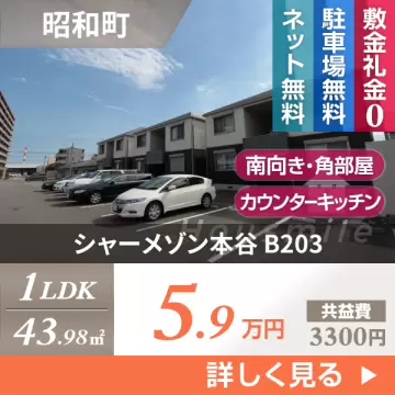 シャーメゾン本谷 B203