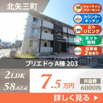 ブリエ ドゥ A棟 203