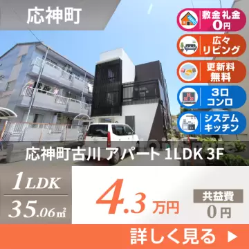 応神町古川 アパート 1LDK 3F