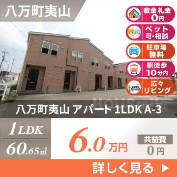 八万町夷山 アパート 1LDK A-3