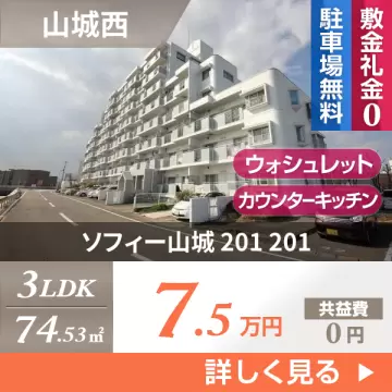 ソフィー山城 201 201
