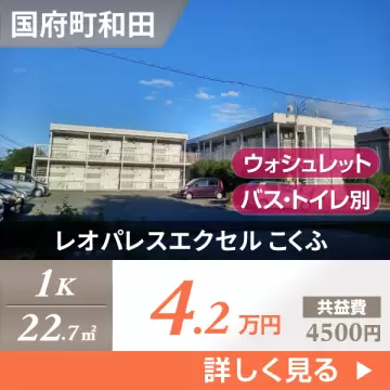 レオパレスエクセル こくふ 102