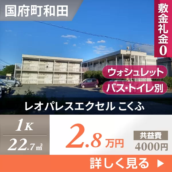 レオパレスエクセル こくふ 203