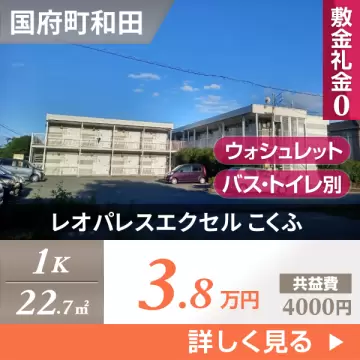 レオパレスエクセル こくふ 207