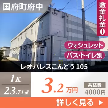 レオパレスこんどう 105