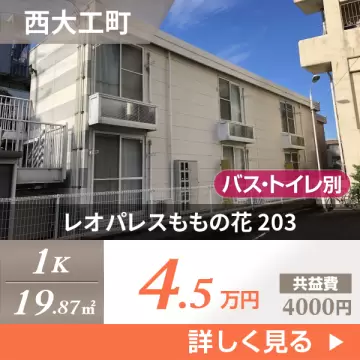 レオパレスももの花 203