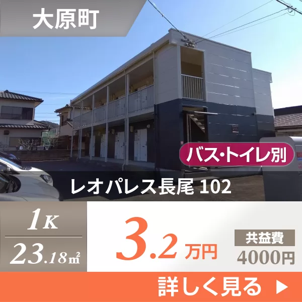 レオパレス長尾 102