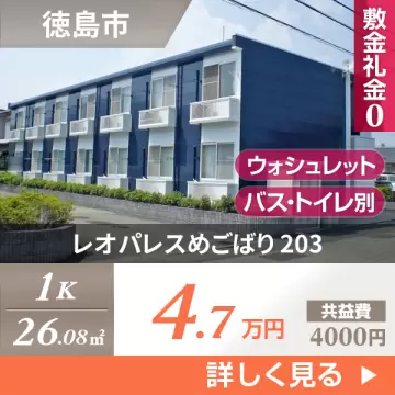 レオパレスめごばり 203