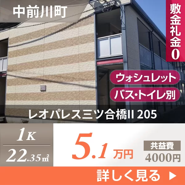 レオパレス三ツ合橋II 205