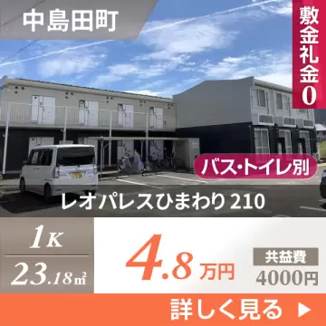レオパレスひまわり 210