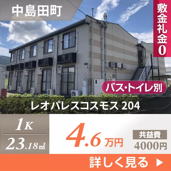 レオパレスコスモス 204