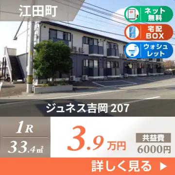 ジュネス吉岡 207