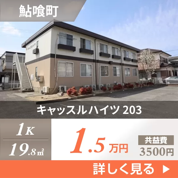 キャッスルハイツ 203