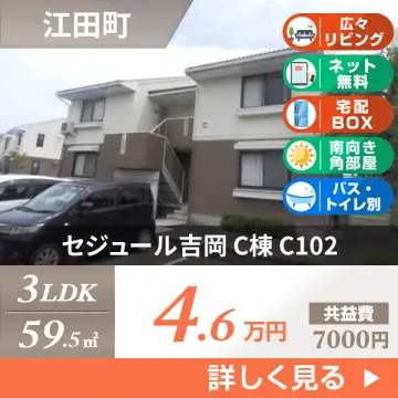 セジュール吉岡 C棟 C102