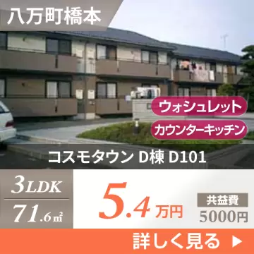 コスモタウン D棟 D101