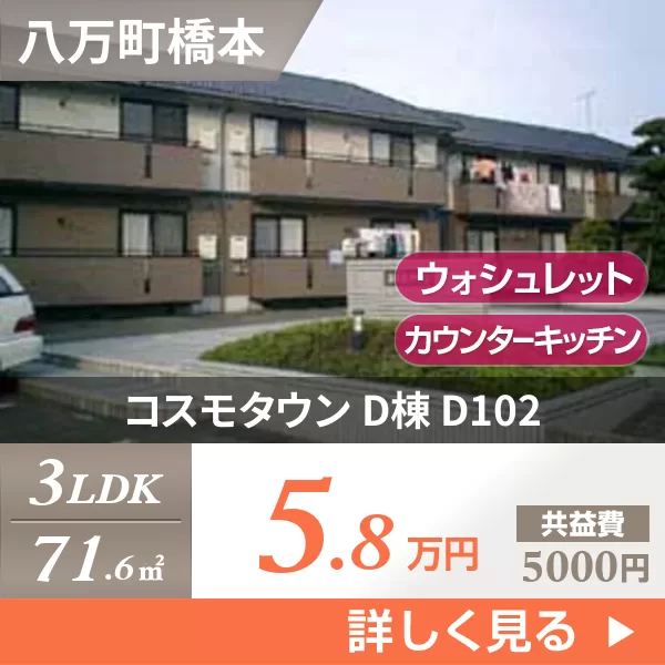 コスモタウン D棟 D102