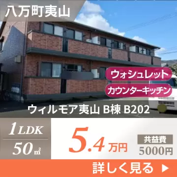 ウィルモア夷山 B棟 B202
