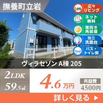 ヴィラセゾン A棟 205