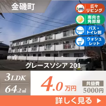 グレースソシア 201