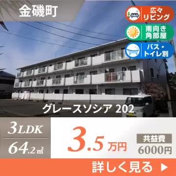 グレースソシア 202