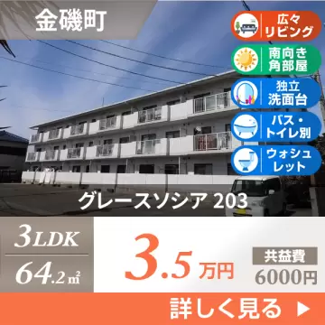 グレースソシア 203