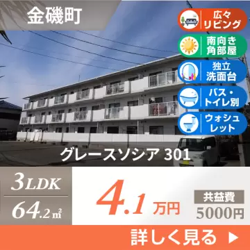 グレースソシア 301