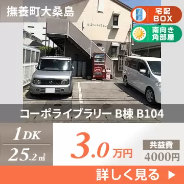 コーポライブラリー B棟 B104