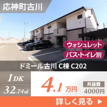 ドミール古川 C棟 C202