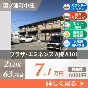 プラザ・エミネンス A棟 A101