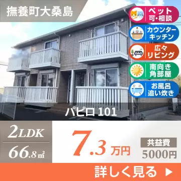 パピロ 101