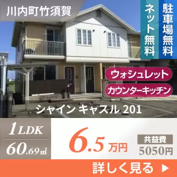 シャイン キャスル 201
