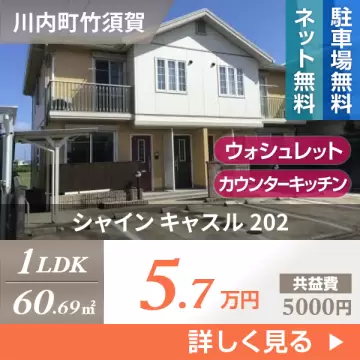 シャイン キャスル 202