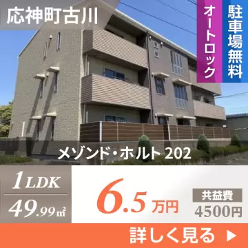 メゾンド・ホルト 202