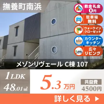 メゾンリヴェール C棟 107