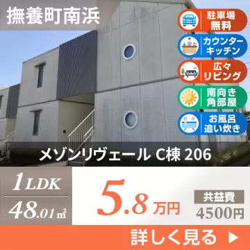 メゾンリヴェール C棟 206